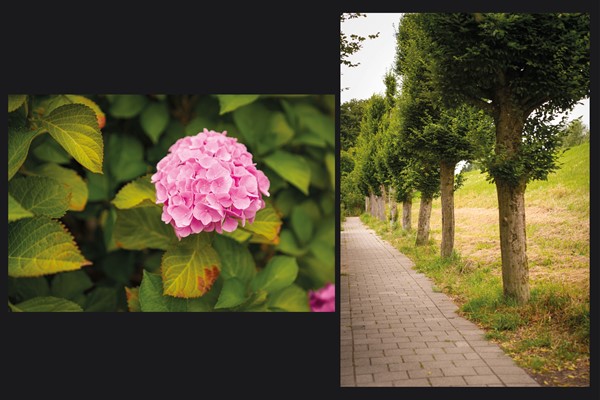 Medium property photo - Tuin 3, 4211 BX Spijk Gem Lingewaal